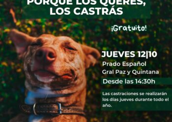 Hoy castración masiva en el Prado Español