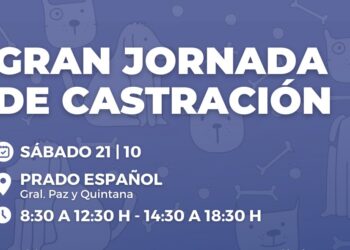 Sábado: Gran Jornada de Castración