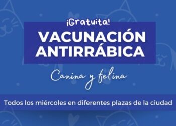 Hoy vacunación antirrábica en Plaza Sarmiento