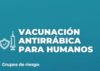Se está colocando la vacuna antirrábica a humanos