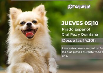 Cronograma de castraciones masivas: octubre