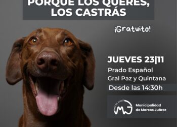 Hoy: vacunación antirrábica