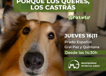 Castraciones gratuitas para perros y gatos: en el Prado Español