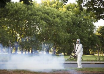 Fumigaciones contra el mosquito: en barrios y plazas de la ciudad