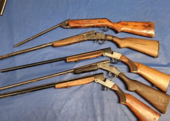 Alto Alegre: allanamiento positivo en zona rural, con recupero de varios elementos sustraídos y armas de fuego