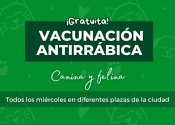 Miércoles: vacunación antirrábica gratuita para perros y gatos