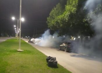 Mosquitos: anoche comenzó la fumigación en la ciudad