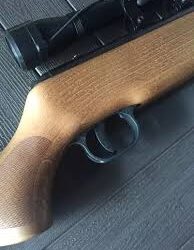 Un masculino tras discutir con una persona, le disparó con un rifle de aire comprimido