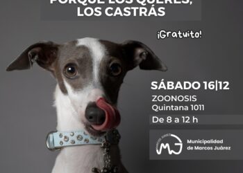 Jornada de castraciones masivas, el próximo sábado