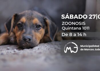 Próxima castración masiva