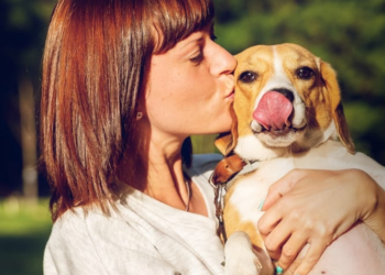 Exitosa jornada extensiva de castraciones masivas para perros y gatos