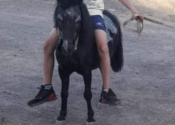 Un robo frustrado, con intento de estafa