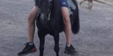 Un robo frustrado, con intento de estafa