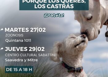 Mañana habrá jornada de castraciones masivas para perros y gatos