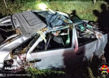 Dos accidentes sobre Ruta Nº 12, que impactaron con animales sueltos