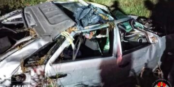 Dos accidentes sobre Ruta Nº 12, que impactaron con animales sueltos