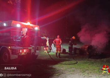Incendio de un árbol en el Parquecito
