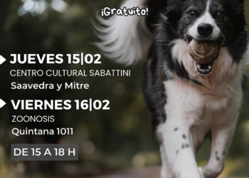 Cronograma de las próximas castraciones masivas