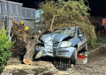 Accidentes urbanos: automóvil impactó contra un árbol y dos motocicletas colisionaron en Ruta 9 y Bismark