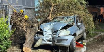 Accidentes urbanos: automóvil impactó contra un árbol y dos motocicletas colisionaron en Ruta 9 y Bismark