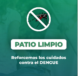 Cuidados contra el dengue: «Patio limpio»