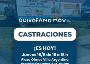 Hoy: castraciones en el quirófano móvil