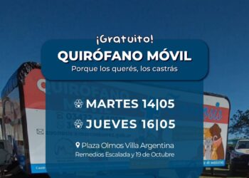 Hoy: castraciones en el quirófano móvil