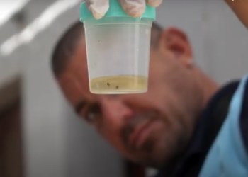 Lanzamiento del Plan Estratégico de Abordaje Integral y Vacunación para la Prevención y el Control de Dengue, Chikungunya y Zika