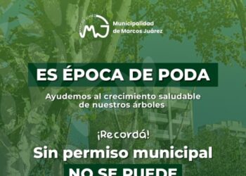 Poda correctiva 2024