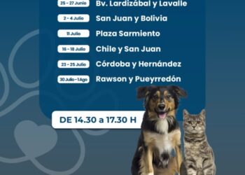 Cronograma para jornadas de castraciones caninas y felinas, masivas y gratuitas en la ciudad