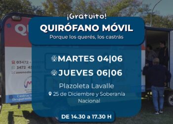 Hoy castraciones masivas en Plazoleta Lavalle