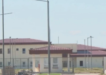 Insólito: ingresaban drogas a la cárcel con palomas