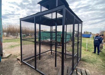 La Municipalidad instaló un palomar en las vías férrea