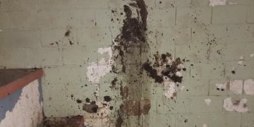 Monte Buey: dos niños de 10 y 12 años vandalizaron la Plaza Evita