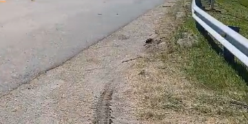 Reclamo urgente por el hundimiento de la Ruta 9