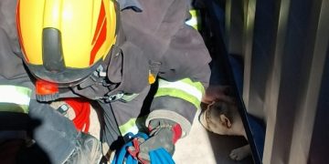 Bomberos rescataron a un perro atrapado debajo de una vivienda