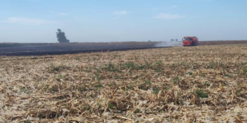 Bomberos combatieron un incendio en el campo Los Nietos