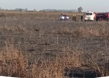 Leones: salida de bomberos por un incendio rural