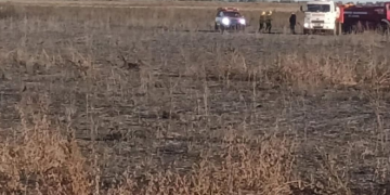Leones: salida de bomberos por un incendio rural