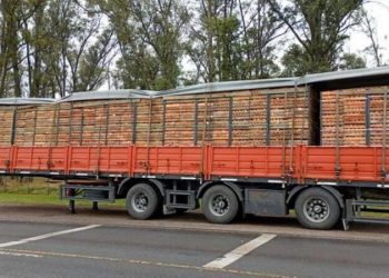 Inseguridad: le robaron el camión en Armstrong, lo secuestraron y lo liberaron en Bell Ville