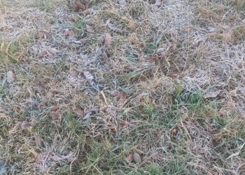 Helada en la región: 2,5º a las 9 de la mañana