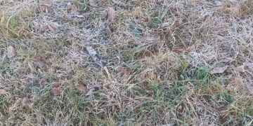 Helada en la región: 2,5º a las 9 de la mañana