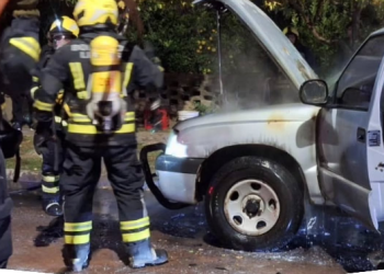 Leones: bomberos combatieron el incendio de una camioneta