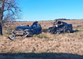 Accidente en Ruta 8: un automóvil chocó contra un árbol y se partió a la mitad