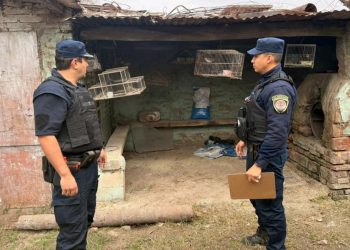 Saladillo: un hombre detenido por intentar agredir a su ex pareja con un arma