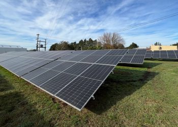 Camilo Aldao inauguró su parque solar y fortalece su apuesta por la energía sustentable