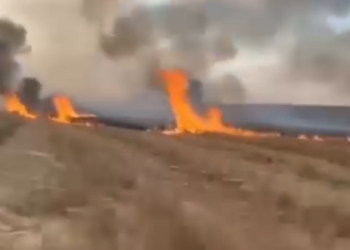 Bomberos combatieron un foco de incendio en el ingreso al balneario La Boca