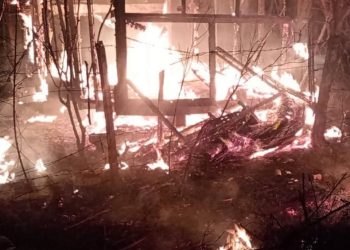 Bomberos combatieron un incendio forestal