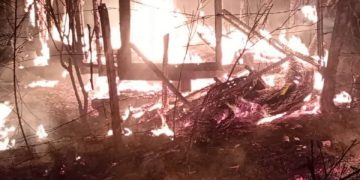 Bomberos combatieron un incendio forestal