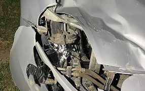 Accidente en Ruta 6: un automóvil chocó contra un caballo